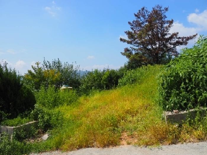 가곡동 산55-1외 전경