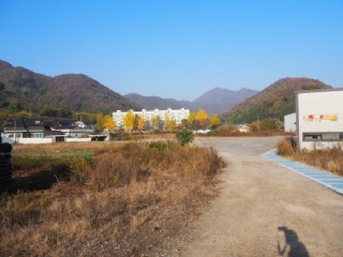 본건 전경