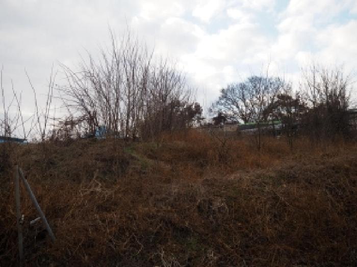 본건 전경