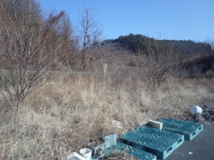 본건 전경