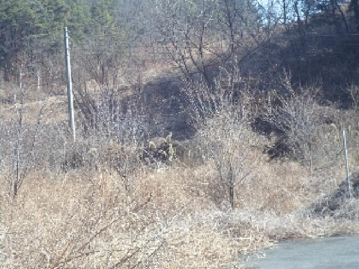 본건 전경