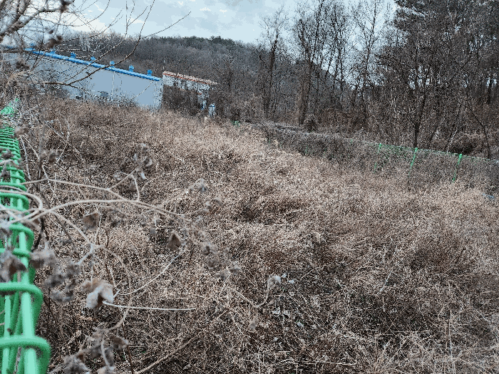 본건 전경