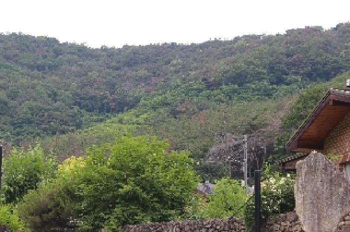 본건 전경
