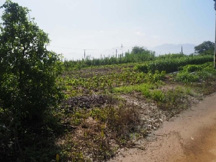 본건 전경