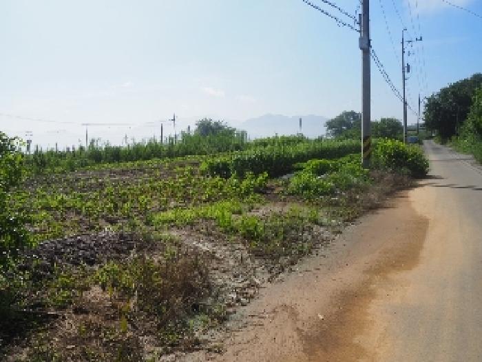 본건 전경