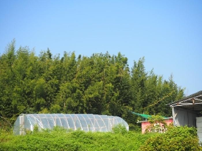 본건 전경
