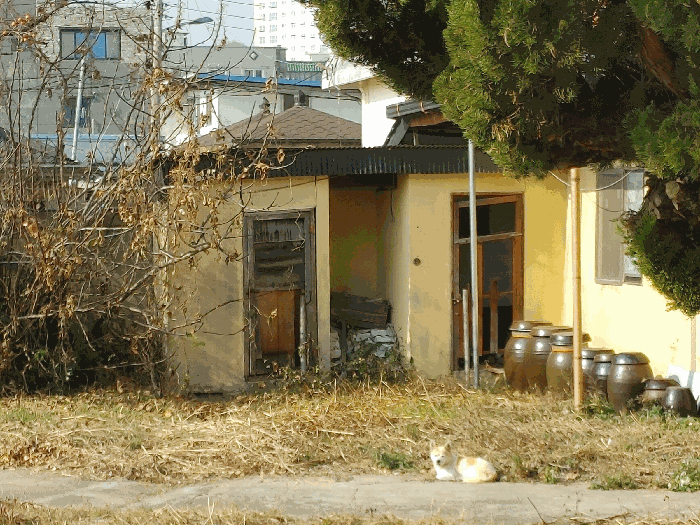 【 제시외 건물 : 기호 ㉤ 】