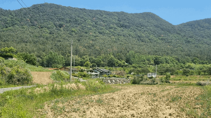 전경