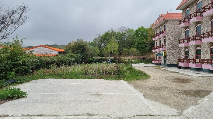 번호(4)