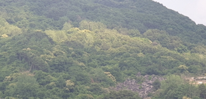 가흥리 149 전경