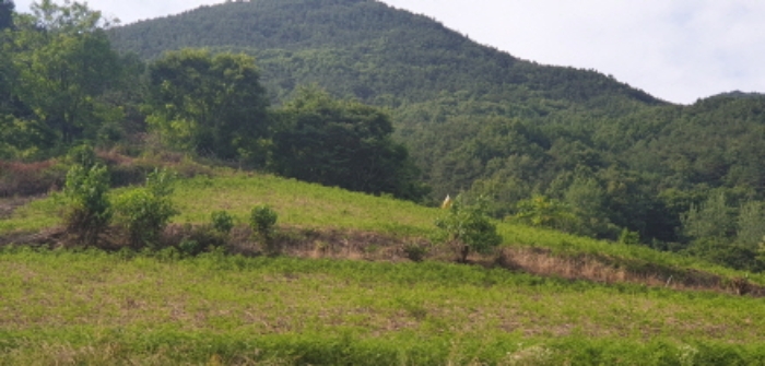 가흥리 343 전경