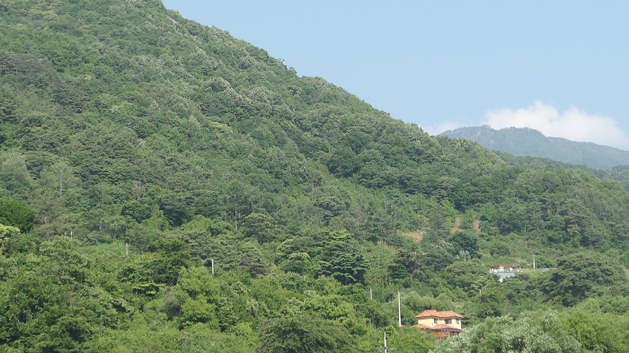 기호(2) 토지전경