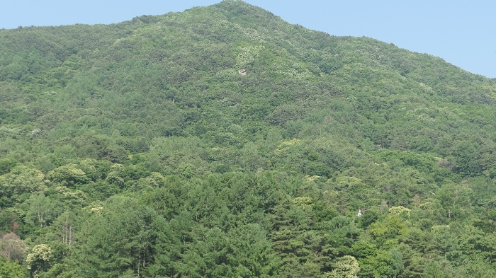 기호(1) 토지전경