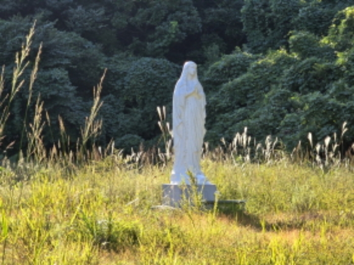 태관리 산 106 석산 전경
