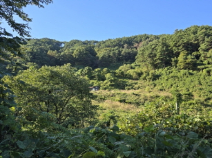 태관리 산 106 전경