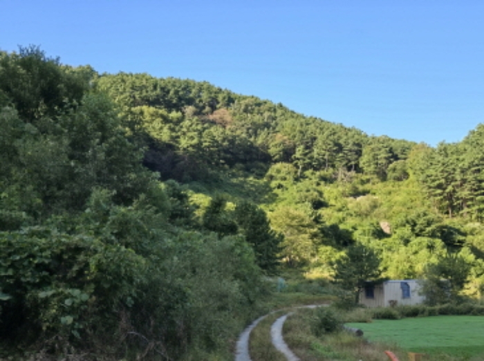 태관리 산 106 전경