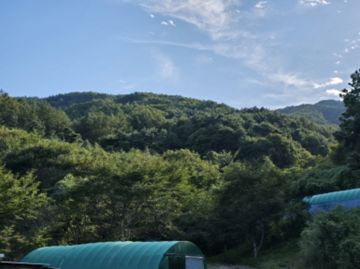 태관리 산 103-2 전경