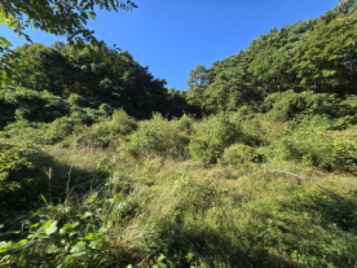 태관리 798, 799 전경