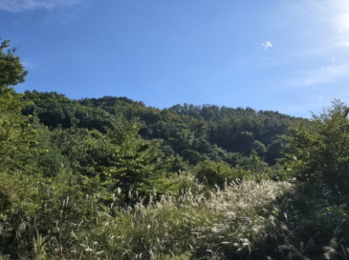태관리 796 전경