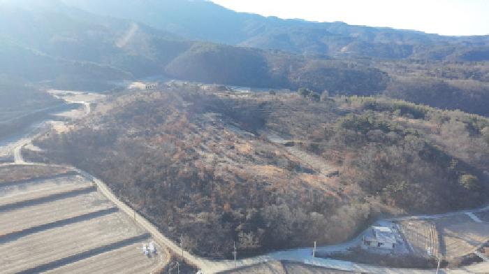 외초리 산 24 `임야` 전경