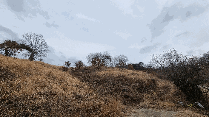 기호(6)