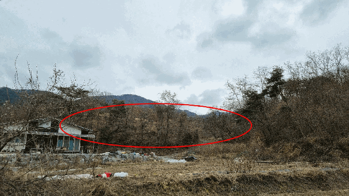 기호(5~7) 전경