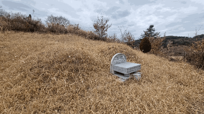 기호(6) 지상 소재 분묘