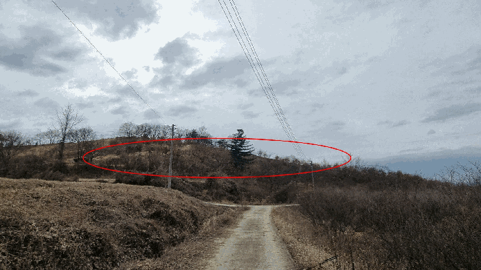 기호(5~7) 전경