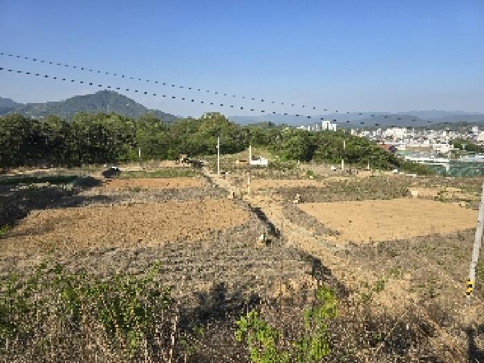 백연리 전경