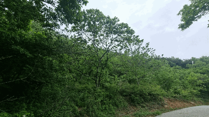 기호(2)