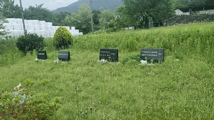 기호(1)지상 소재 분묘