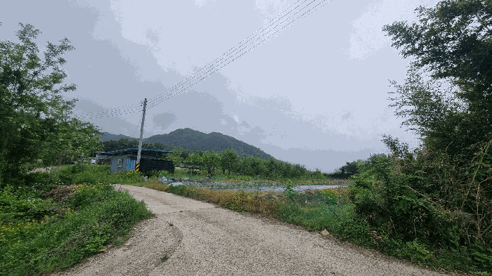 기호(1) 전경