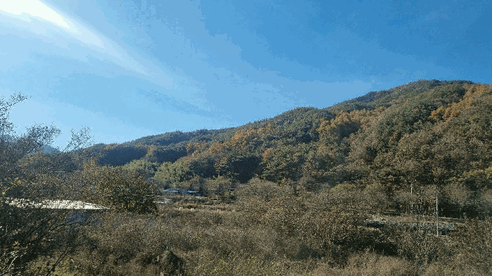 전경