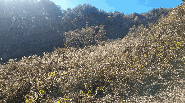 기호(2)