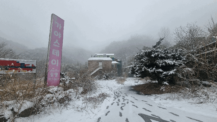 전경