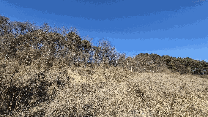 기호 2)토지
남서측에서 북동측으로