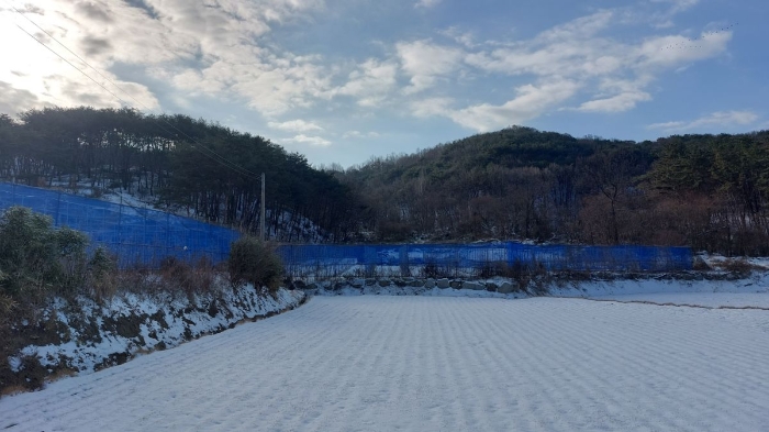 2022타경1365