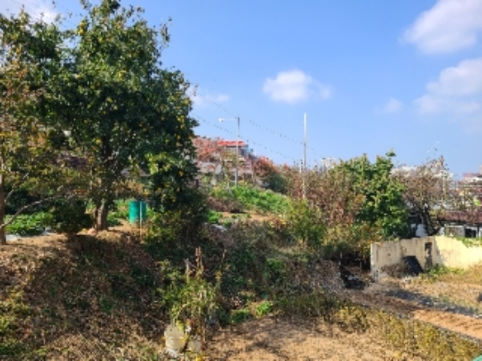 2022타경7097