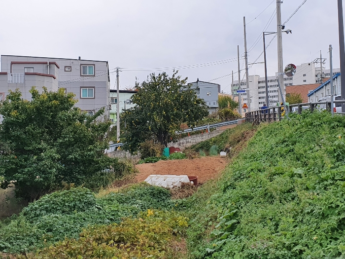 2022타경7097