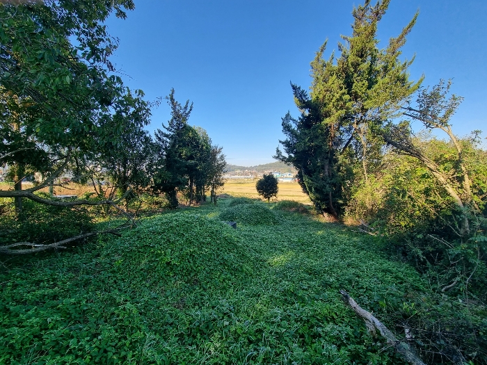 본건 동측 전경 및 분묘