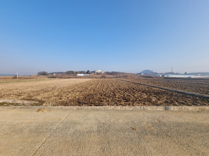 2022타경78310