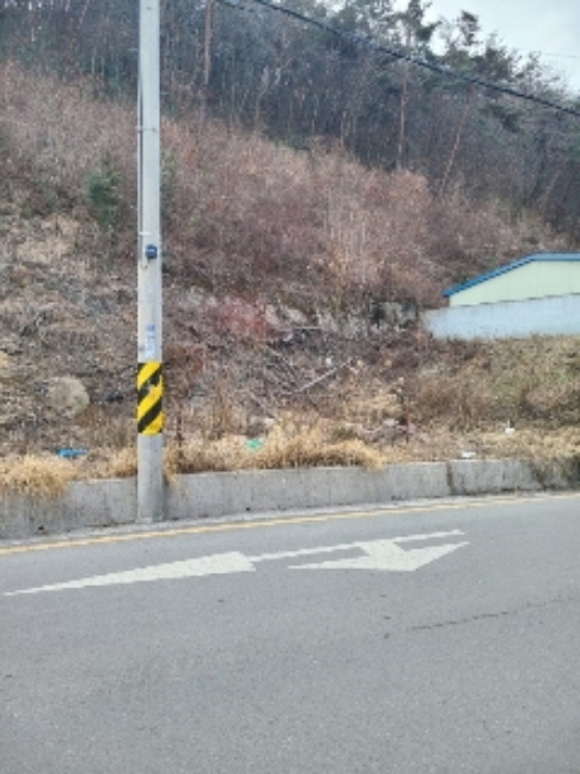 2023타경833