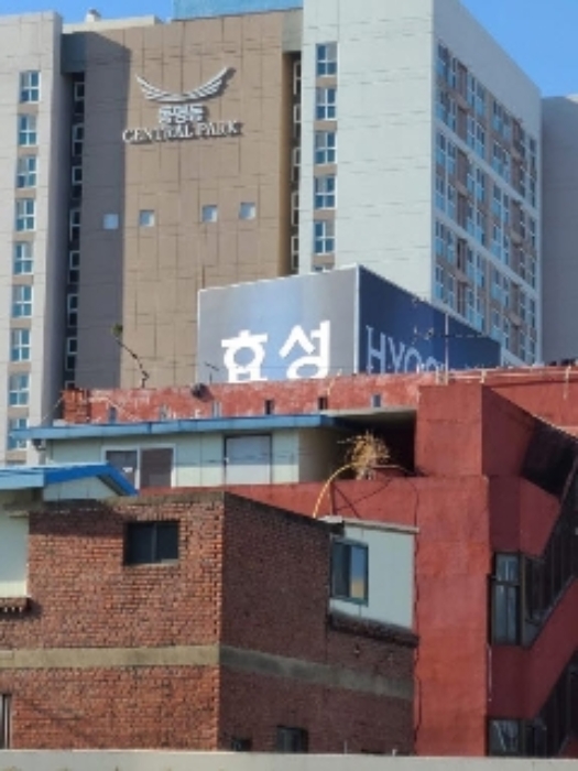 2023타경956