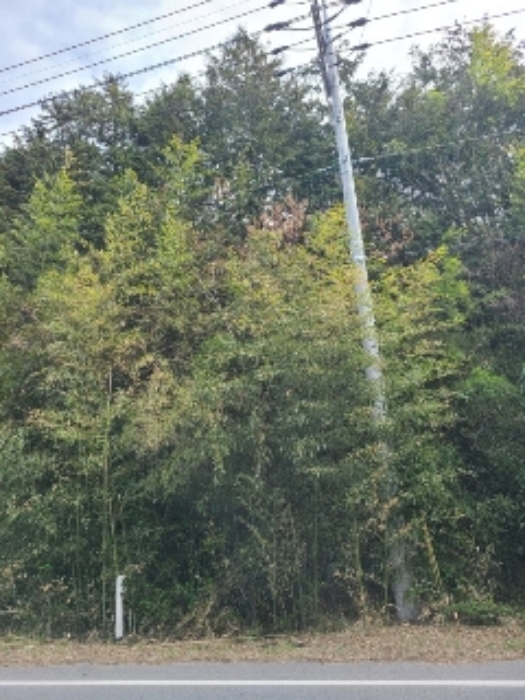 2023타경1331[1]