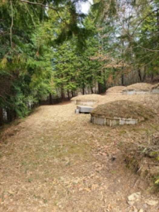 2023타경1331[1]