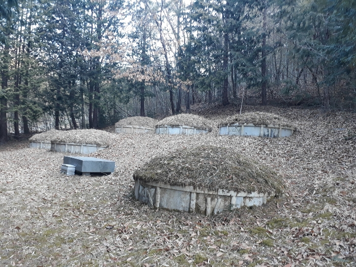 2023타경1331[1]