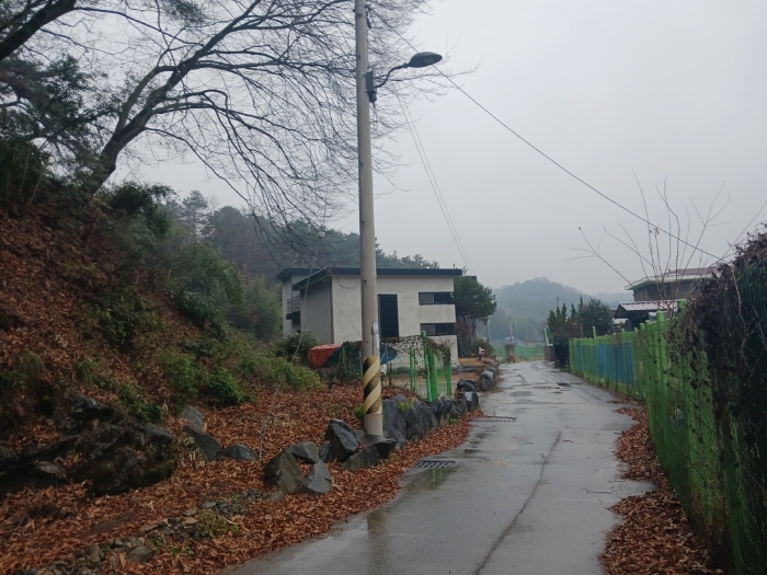 2024타경8995