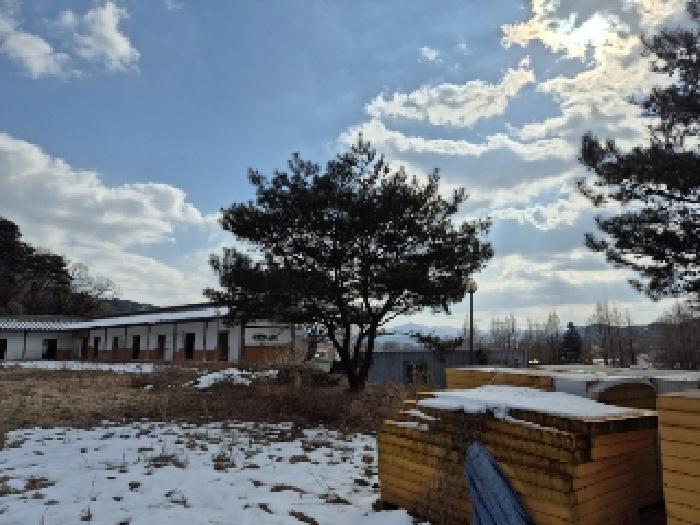 2024타경9608