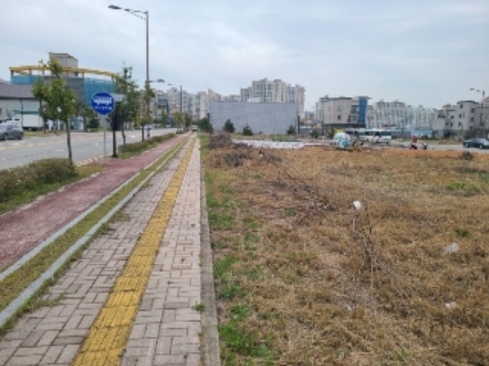 2024타경66175