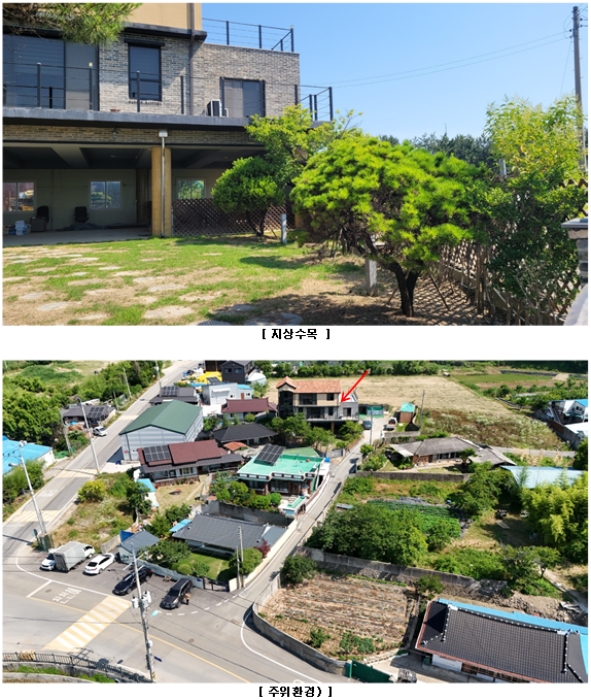 2024타경71900
